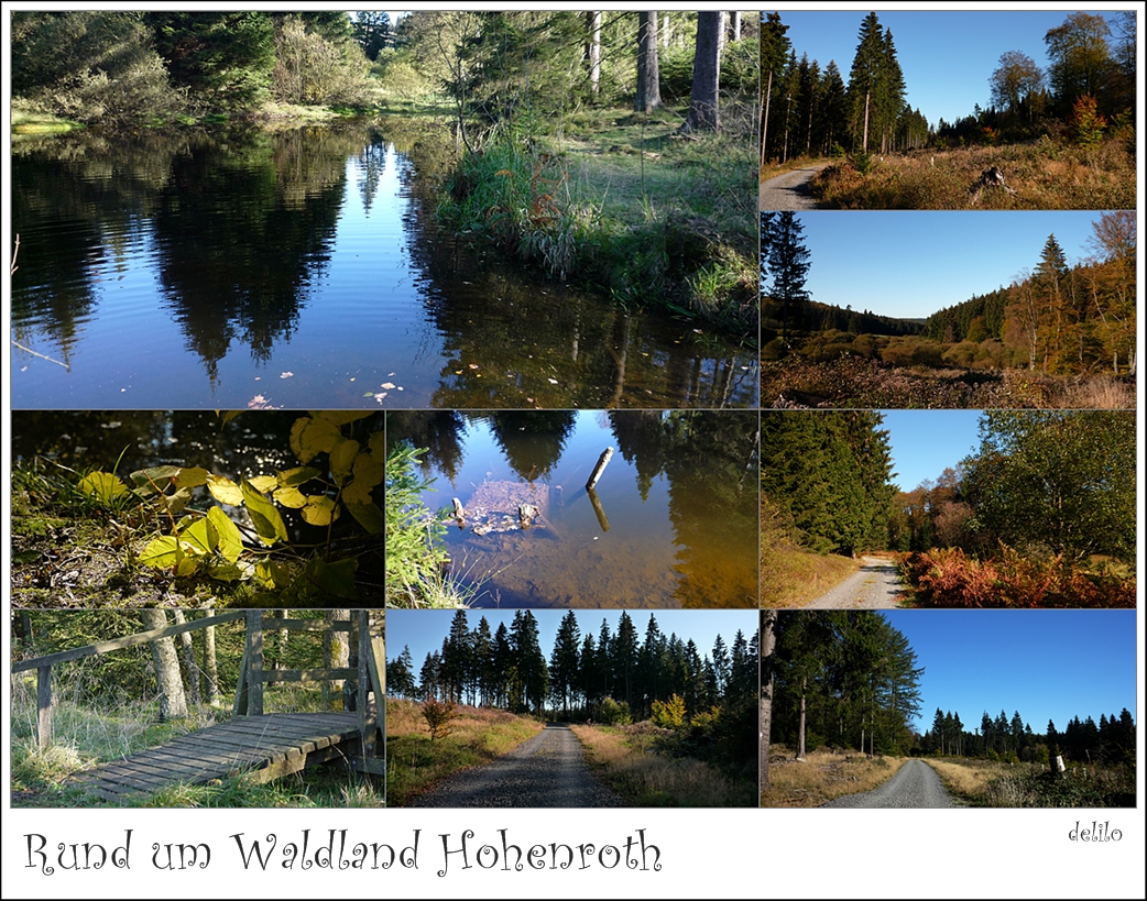 rund um Waldland Hohenroth