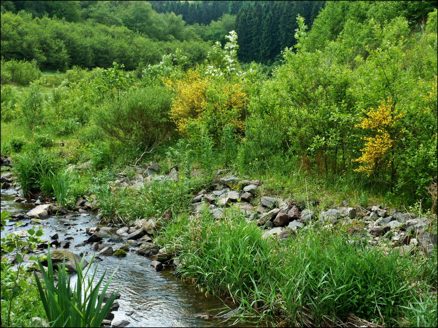 Rund um Wuppertal