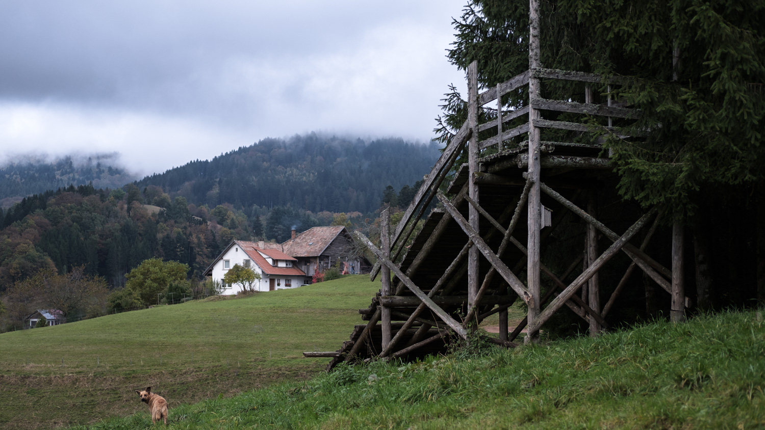 rund um's Dorf 4