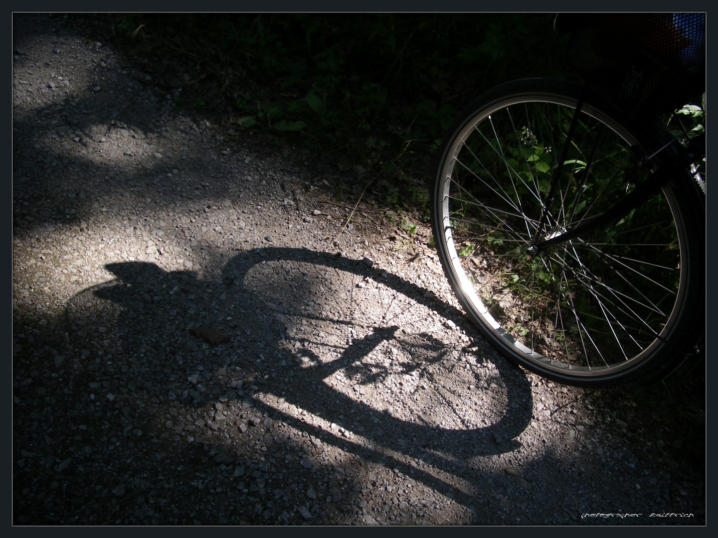 Rund um's Fahrrad...(3)