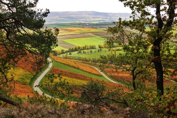 rund um´s Hörnle ....