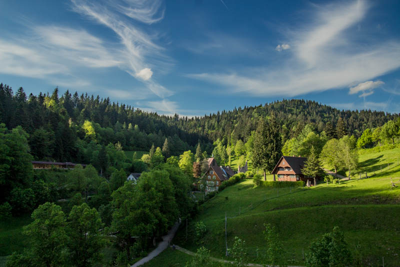 Rund ums Kloster Allerheiligen