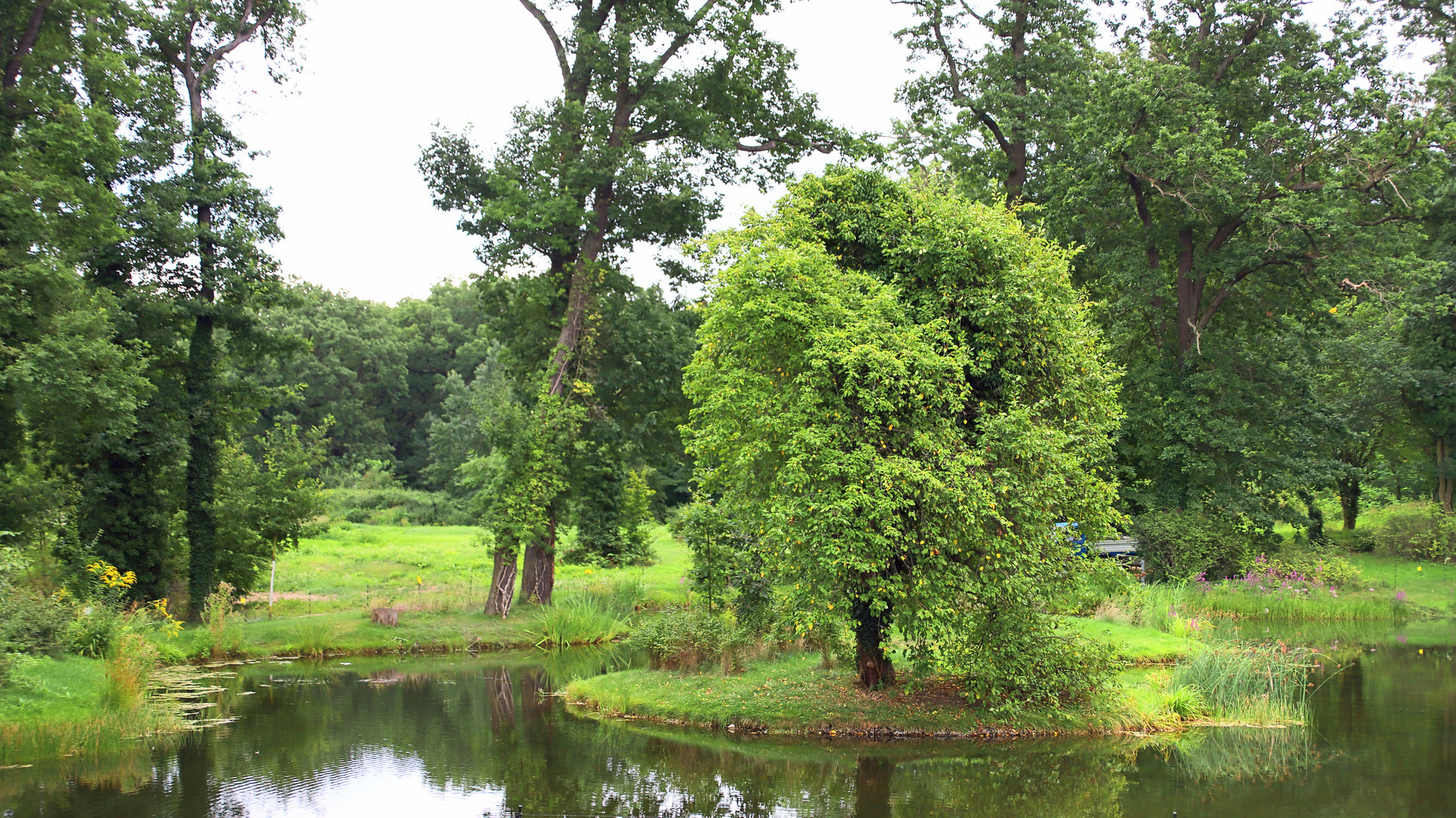 Rund um`s Schloss Babelsberg