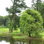 Rund um`s Schloss Babelsberg