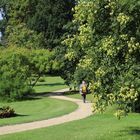 Rund um`s Schloss Babelsberg