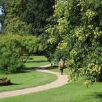 Rund um`s Schloss Babelsberg