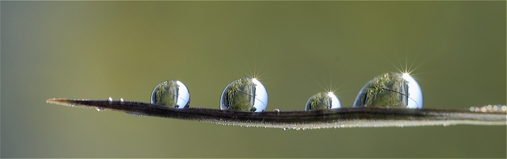 Rund und Schbitz