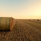 Rundballen auf dem Feld bei Sonnenaufgang