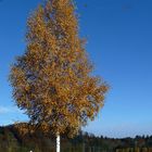 "Rundblick bei Burgberg im Allgäu 1"