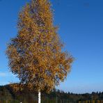 "Rundblick bei Burgberg im Allgäu 1"