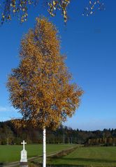 "Rundblick bei Burgberg im Allgäu 1"