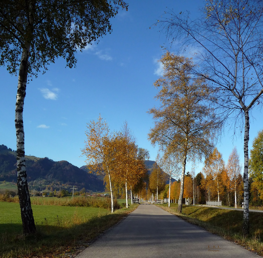 "Rundblick bei Burgberg im Allgäu 6"