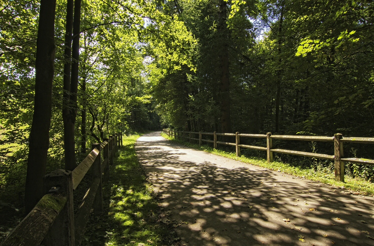 Runde um die Steinbachverse