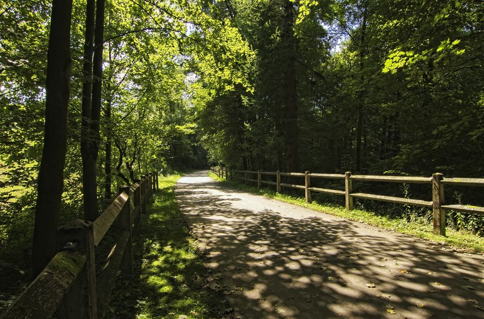 Runde um die Steinbachverse