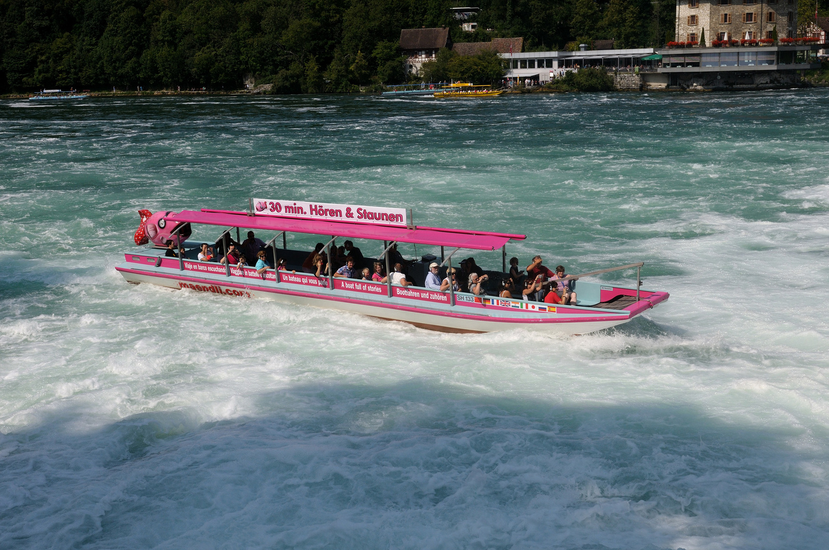 Rundfahrt im Rheinfallbecken im schönen lila Boot...