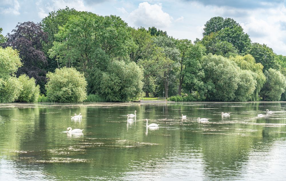 Rundfahrt mit dem Maschseeboot V - Hannover