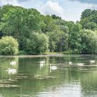 Rundfahrt mit dem Maschseeboot V - Hannover