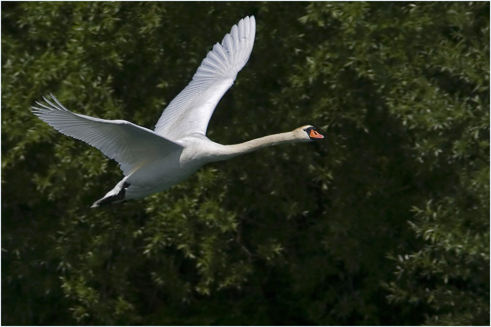 Rundflug (2)