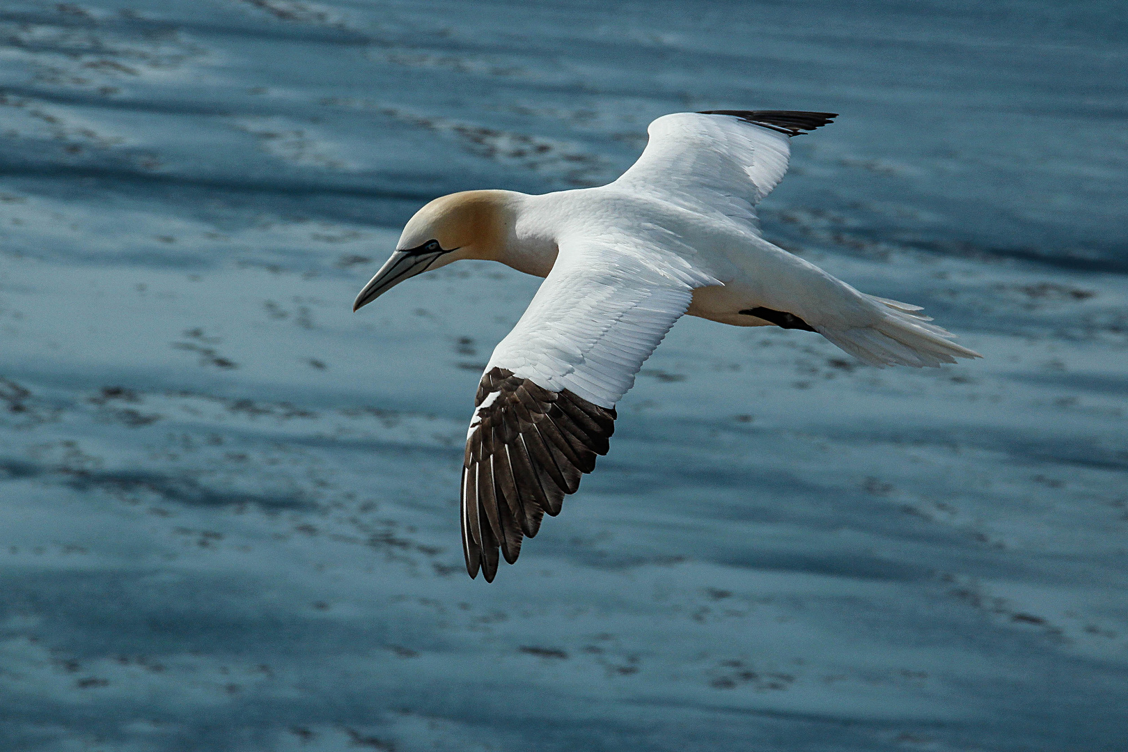 Rundflug (2)