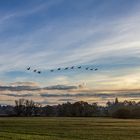 Rundflug als Frühsport