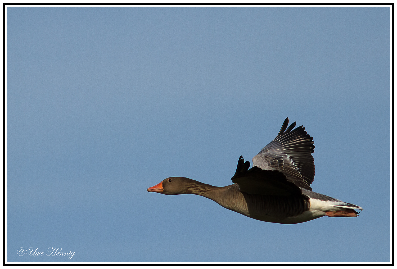 Rundflug