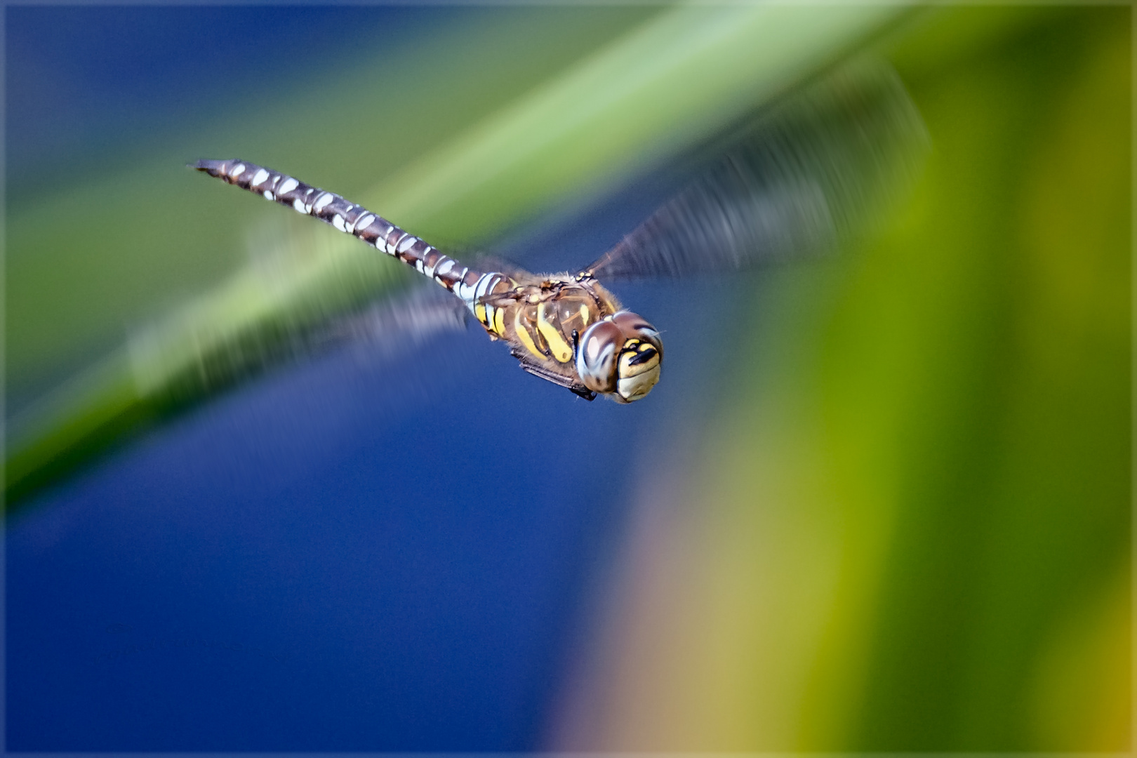 Rundflug