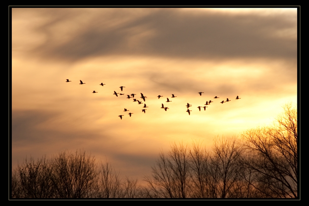 Rundflug durch die Abendsonne