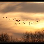 Rundflug durch die Abendsonne