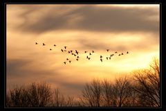 Rundflug durch die Abendsonne