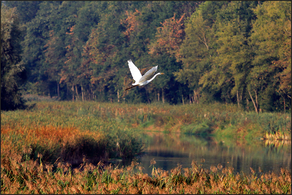 ...Rundflug