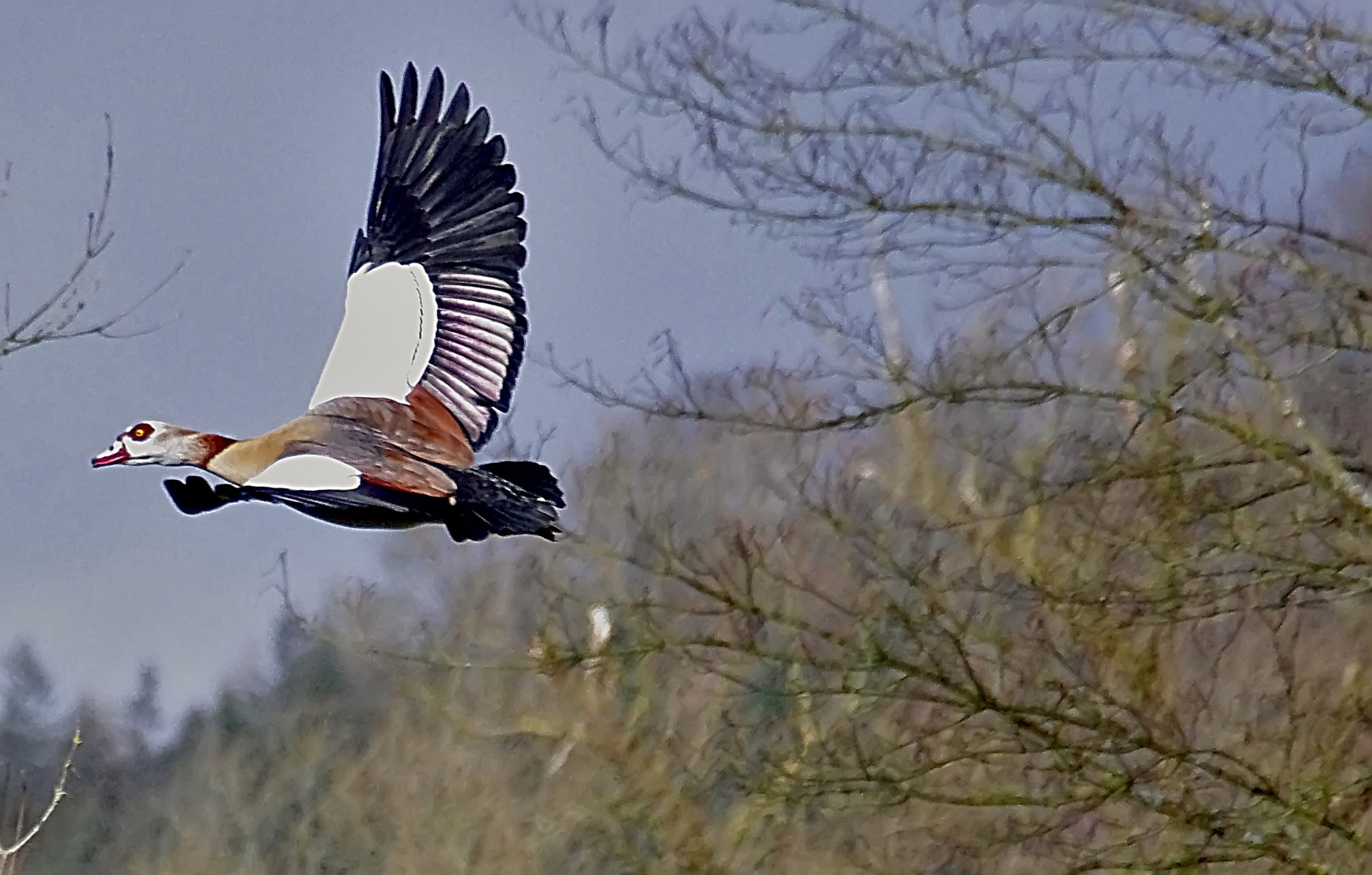 Rundflug.....