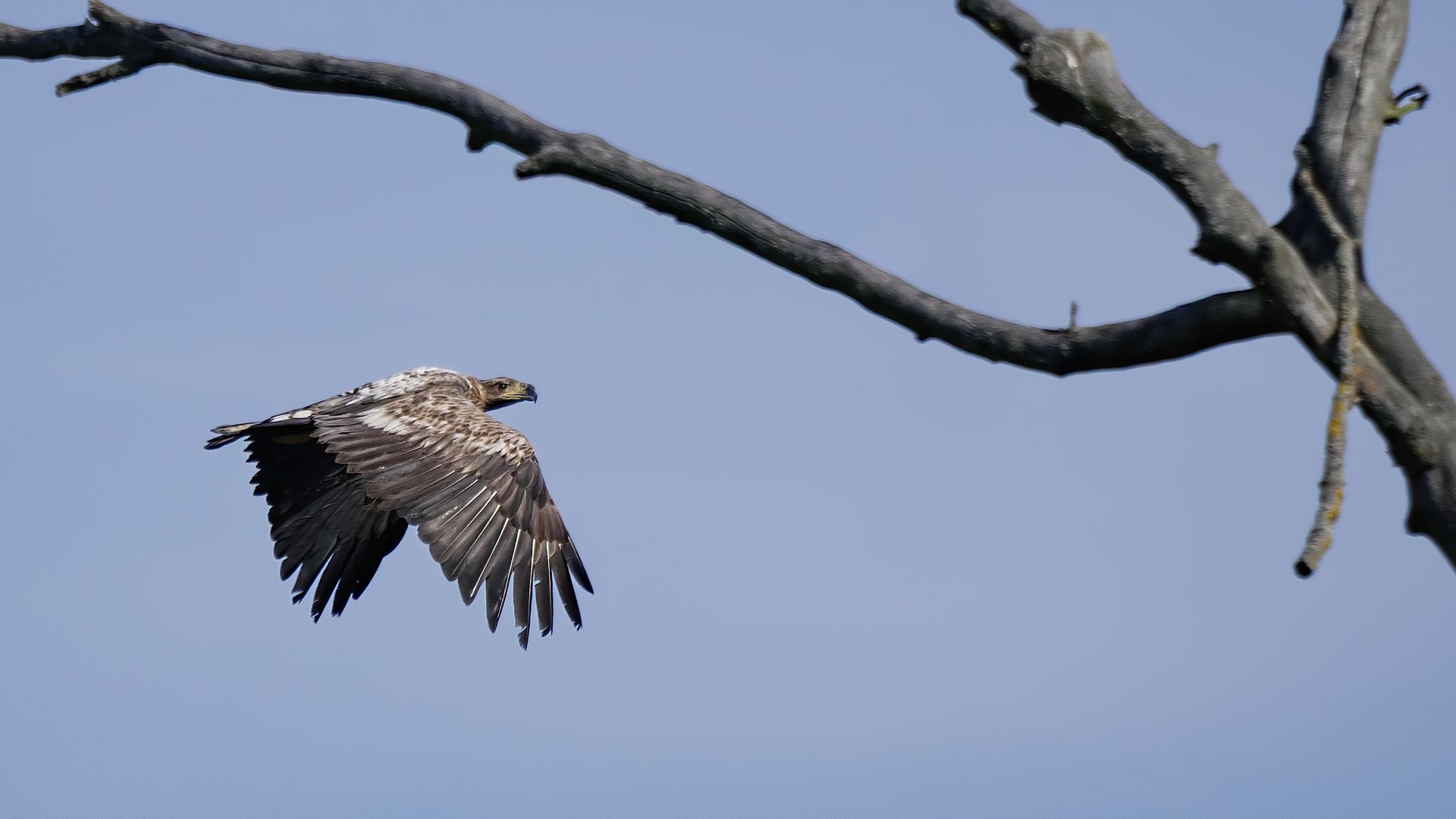 Rundflug ... 