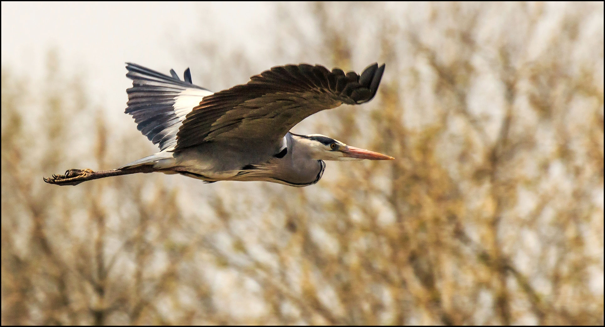 Rundflug !!!