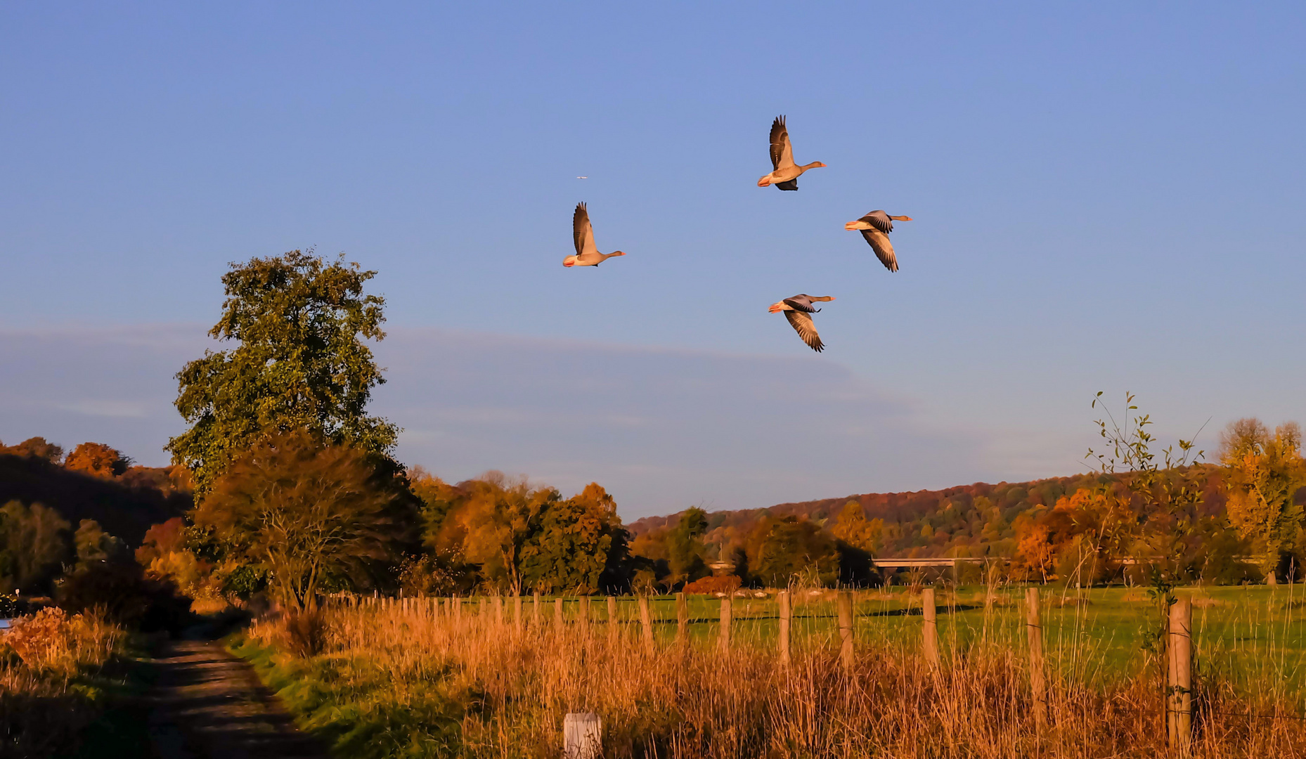 Rundflug im Morgenlicht