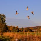 Rundflug im Morgenlicht