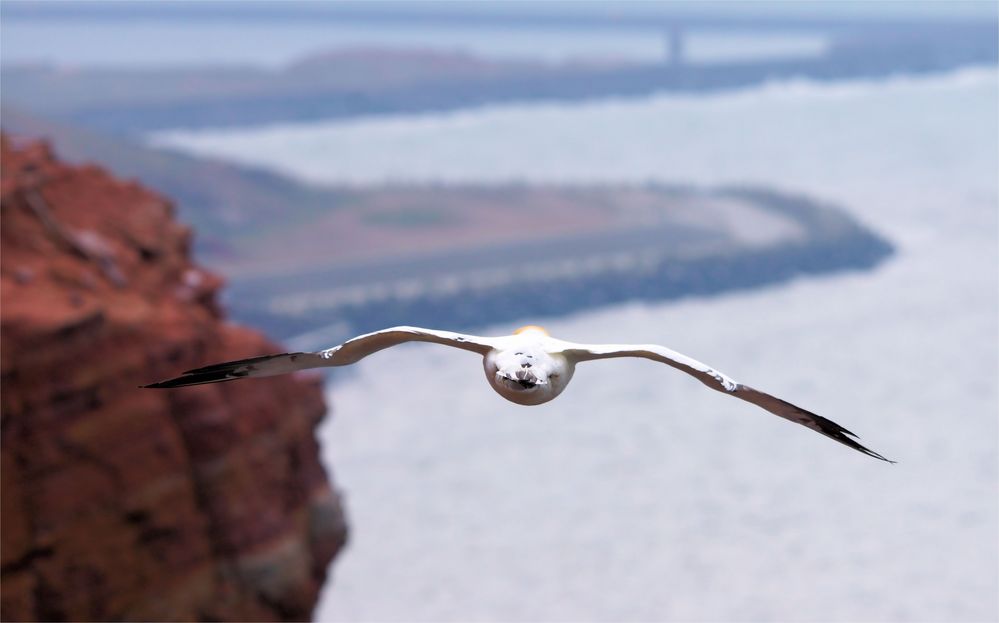 Rundflug über Helgoland...