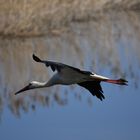 Rundflug übers Oderbruch