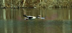 Rundflug übers Weiher