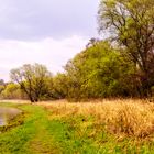 Rundgang am Leopoldshafen