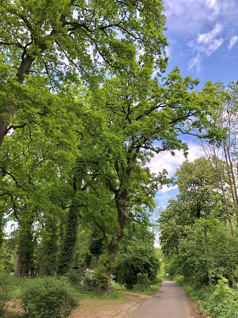 Rundgang am Schweriner See