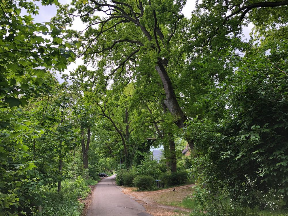 Rundgang am Schweriner See