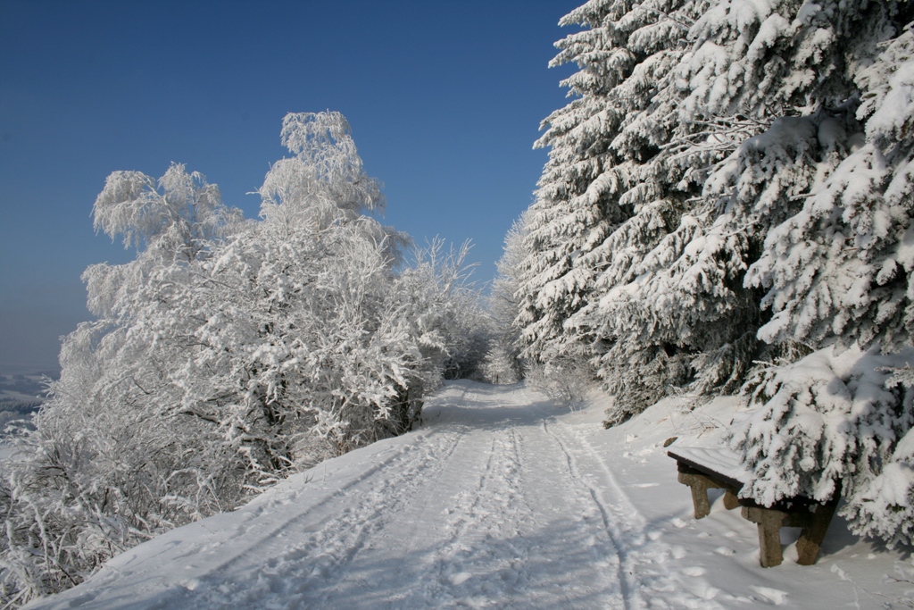 Rundgang am verschneiten Pöhlberg