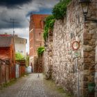 Rundgang an der Templiner Stadtmauer_06