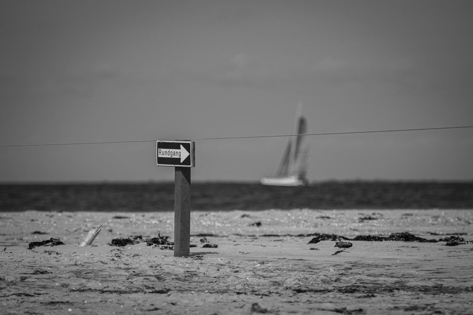 Rundgang an Land, Törn auf See