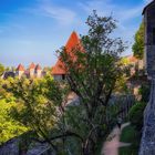 Rundgang entlang der Burgmauern