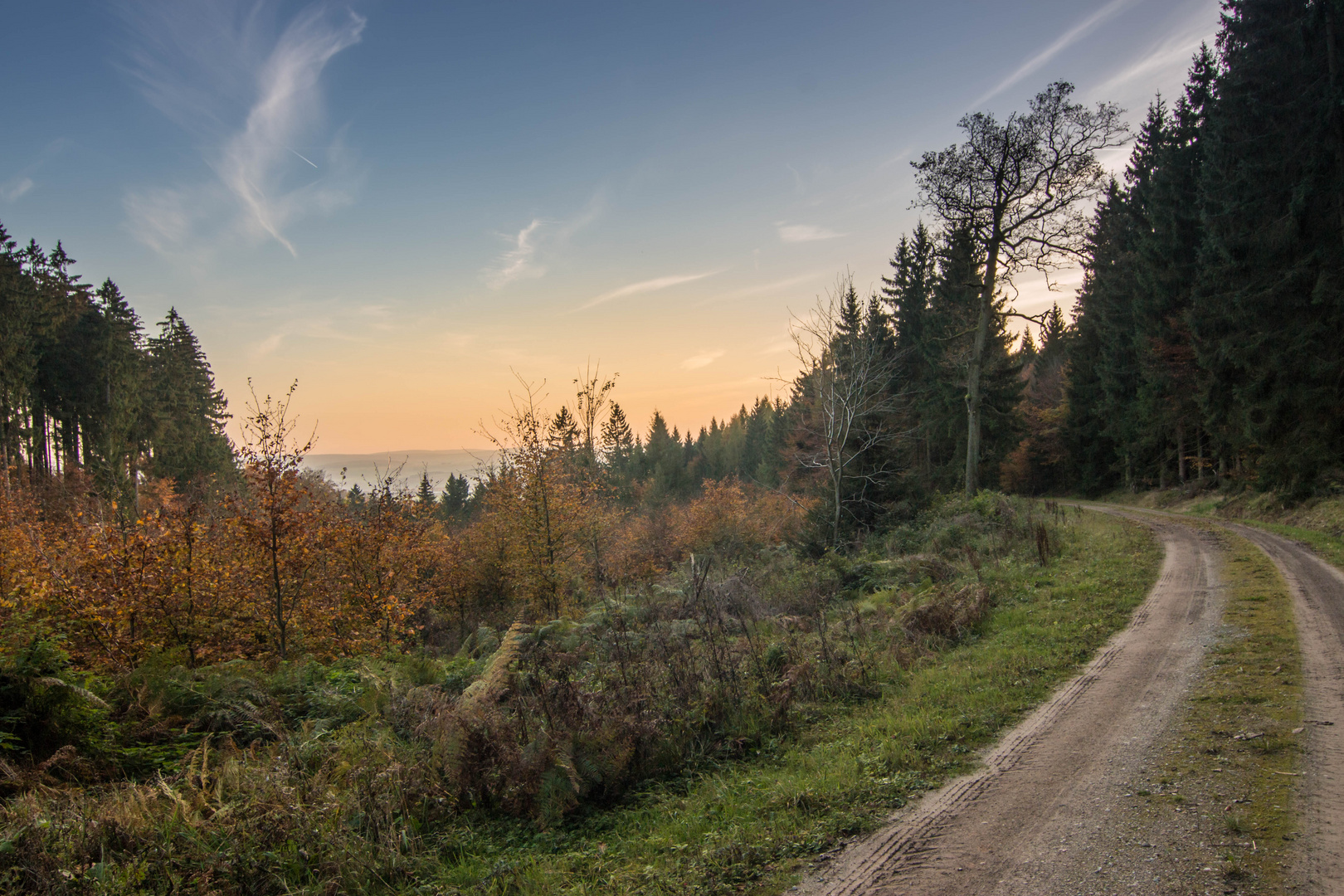 Rundgang Harzblick auf dem Steinberg bei Vahle