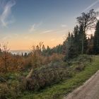 Rundgang Harzblick auf dem Steinberg bei Vahle