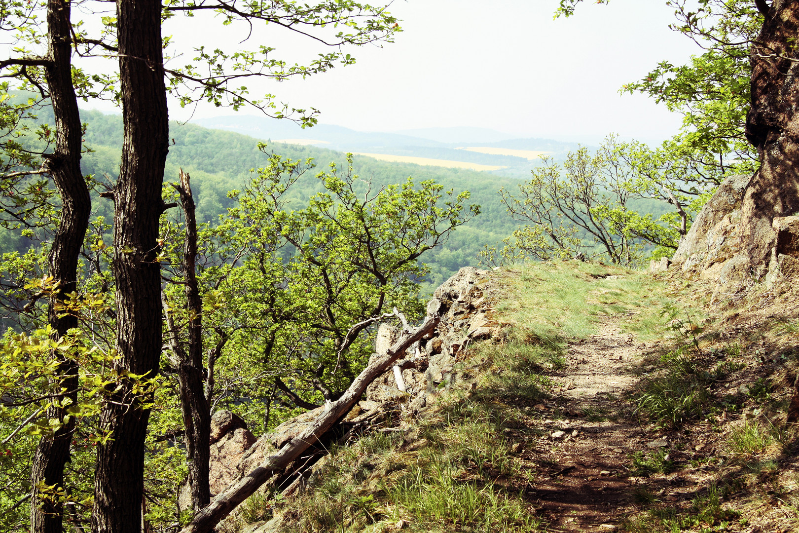 Rundgang Hexentanzplatz, Harz