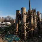 Rundgang im Harburger Hafen mit viel Sonne 