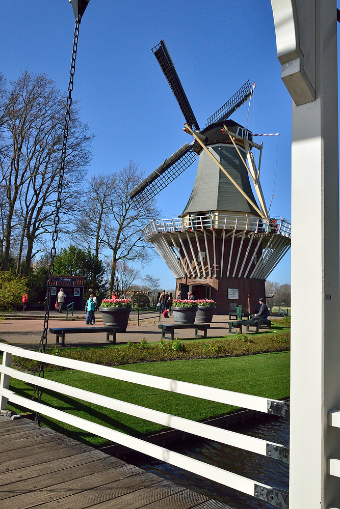 Rundgang im Keukenhof - Blumenpark in Holland April 2013 Nr.13